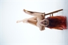 Thumnail / 2 / 29 / 28